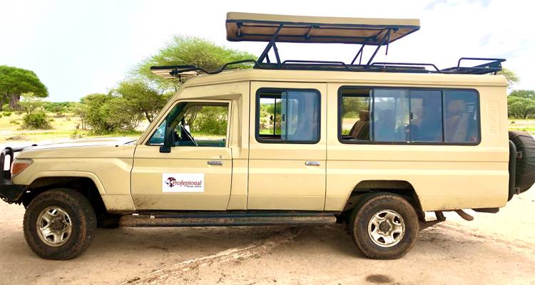 Véhicule de safari garé dans une zone herbeuse.