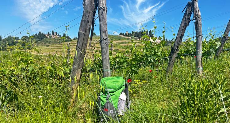 Toscane pittoresque de charme - Eurohike 9