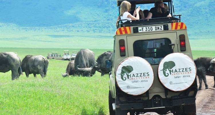 9 Days Wildebeest Migration Photography Safari - Hazzes Adventure 2