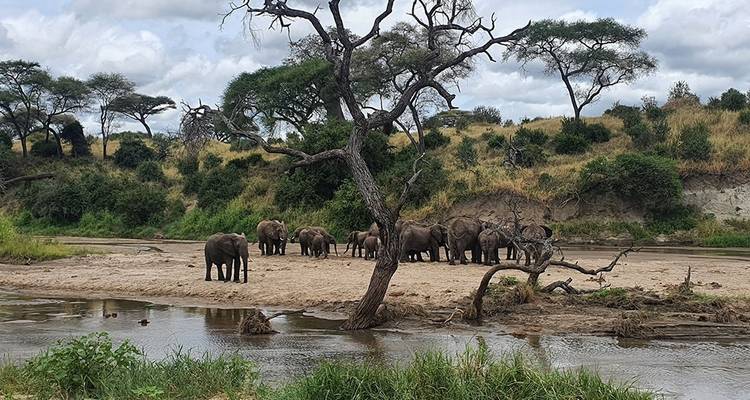 9 Days Wildebeest Migration Photography Safari - Hazzes Adventure 3