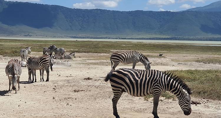 9 Days Wildebeest Migration Photography Safari - Hazzes Adventure 4