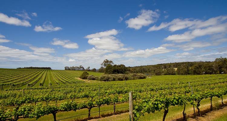 Best of Perth, Margaret River & Rottnest Island (from Perth to Fremantle) - Intrepid Travel 2