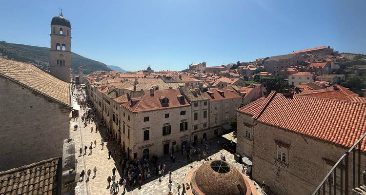 Historic city street view with tiled roofs.
