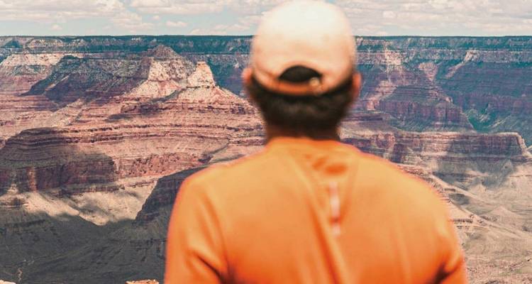 Vista trasera de un viajero con camisa naranja admirando los acantilados en capas del Gran Cañón.