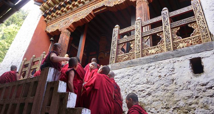 Alegría en Bhutan: circuito a la majestad del Himalaya(personalizado privado) - Odynovo 4