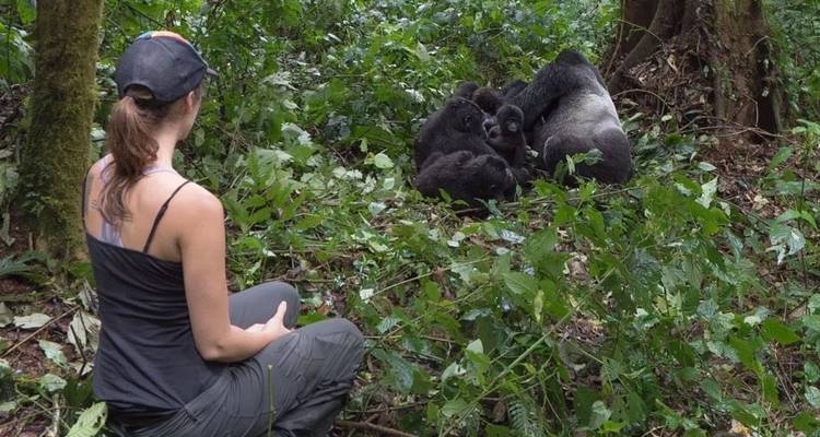 3 Days Uganda Gorilla Trekking Safari - Hazzes Adventure 1