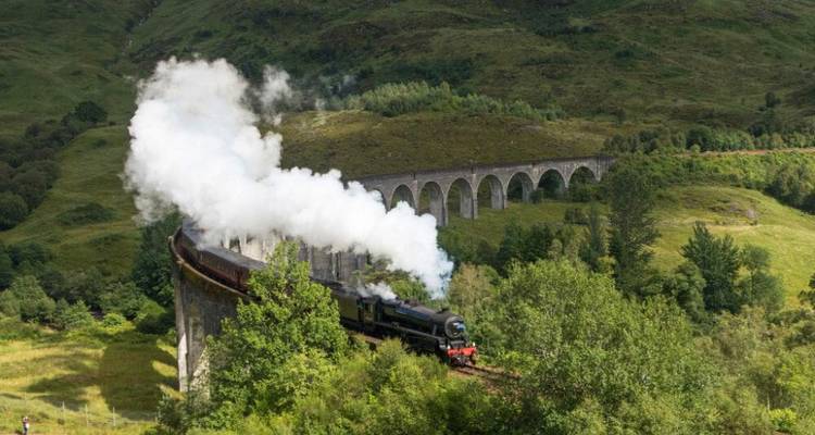 Train à vapeur traversant un viaduc dans un environnement verdoyant luxuriant.