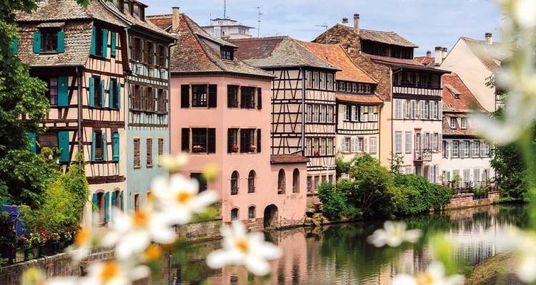 Cruising the Rhine & Moselle - Just You 1