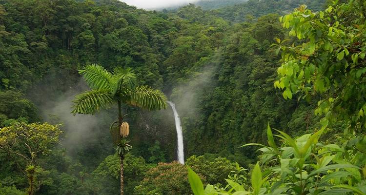 Costa Rica Real - Just You 6