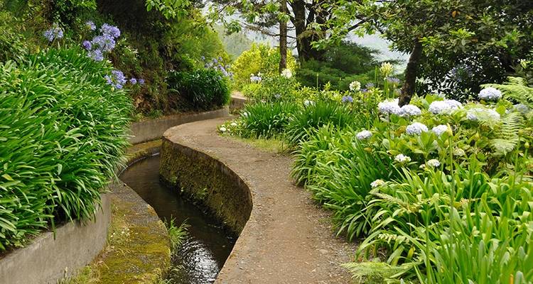 Madeira - The Pearl of the Atlantic - Just You 1