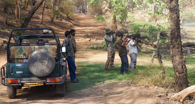 Royal Rajasthan with Tiger Safari (Private Customize) - Odynovo 9