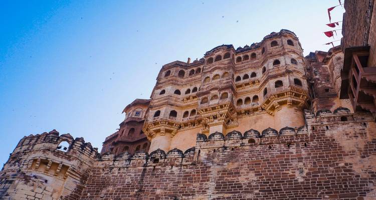 Royal Rajasthan avec safari des tigres (privé sur mesure) - Odynovo 10