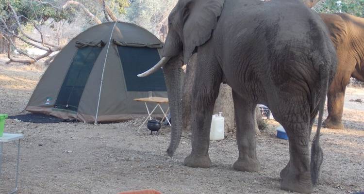 7 Days Breakaway  Zimbabwe - Little Roz Tours 1