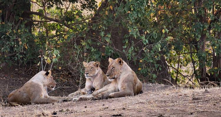7 Days Breakaway  Zimbabwe - Little Roz Tours 3