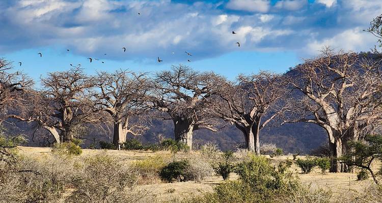 7 Days Breakaway  Zimbabwe - Little Roz Tours 7