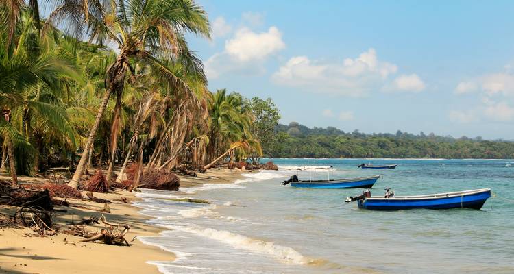 Costa Rica: Wildlife Conservation, Permaculture and Responsible Tourism - GIVE Volunteers 8