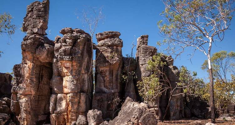 Aventure dans le Top End et à Kakadu - Intrepid Travel 2