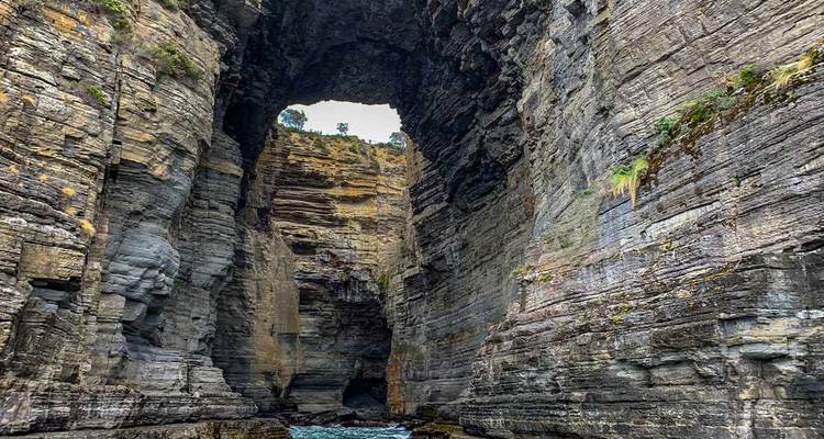 Lo mejor de Hobart y el sur de Tasmania - Intrepid Travel 2