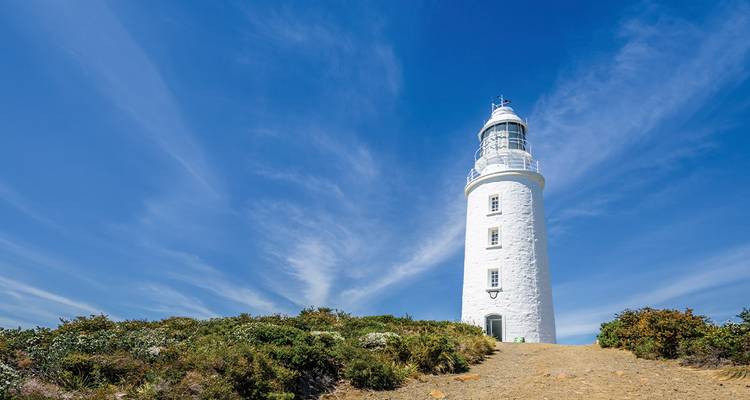 Lo mejor de Hobart y el sur de Tasmania - Intrepid Travel 4