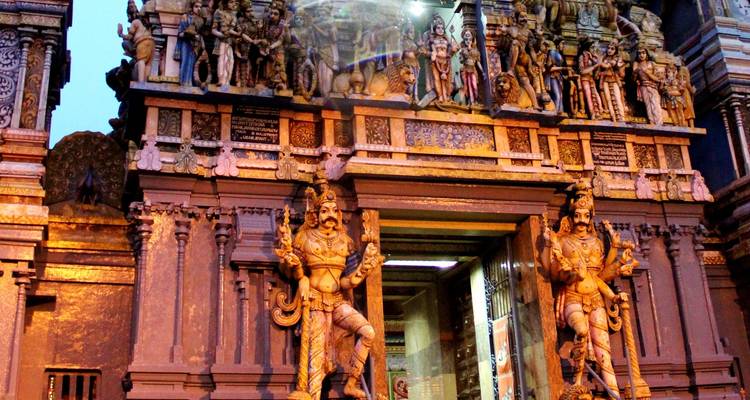 Expedición de aventura por la vida salvaje de Sri Lanka (Privada a medida) - Odynovo 3