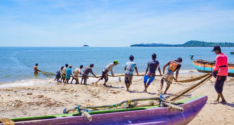 Expedición de aventura por la vida salvaje de Sri Lanka (Privada a medida) - Odynovo 6