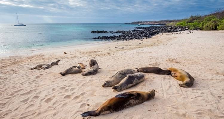 Pérou et découverte des Galápagos - 15 jours - On The Go Tours 5