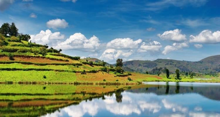 Selva, cataratas y parques de caza - 46 días - On The Go Tours 1