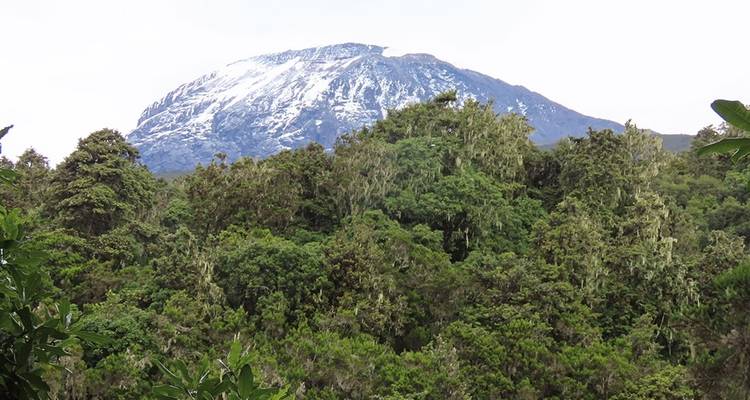 Safari de 8 días al monte Kilimanjaro, ruta Marangu - Hazzes Adventure 4