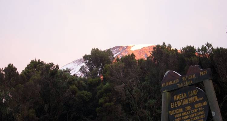 Escalada de 10 días al monte Kilimanjaro, ruta Lemosho - Hazzes Adventure 3