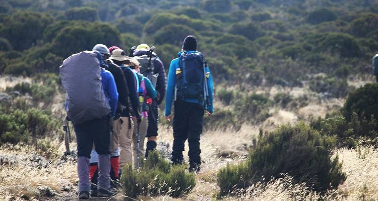 Escalada de 10 días al monte Kilimanjaro, ruta Lemosho - Hazzes Adventure 6