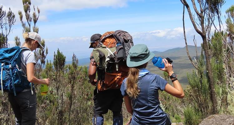 Escalada de 10 días al monte Kilimanjaro, ruta Lemosho - Hazzes Adventure 7