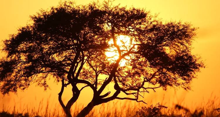 Safari de 15 jours au Kenya et en Tanzanie - Afrique de l'Est - Hazzes Adventure 2