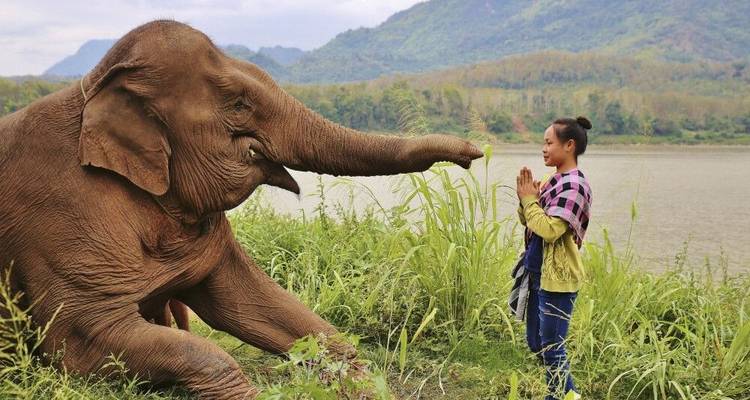 Lan Xang - Au pays des millions d'éléphants - DIAMIR Erlebnisreisen 7