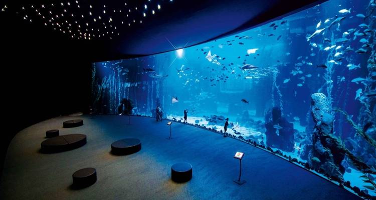 Unforgettable Journey: Hurghada & Nile Cruise - Nilvison Egypt Tours  6