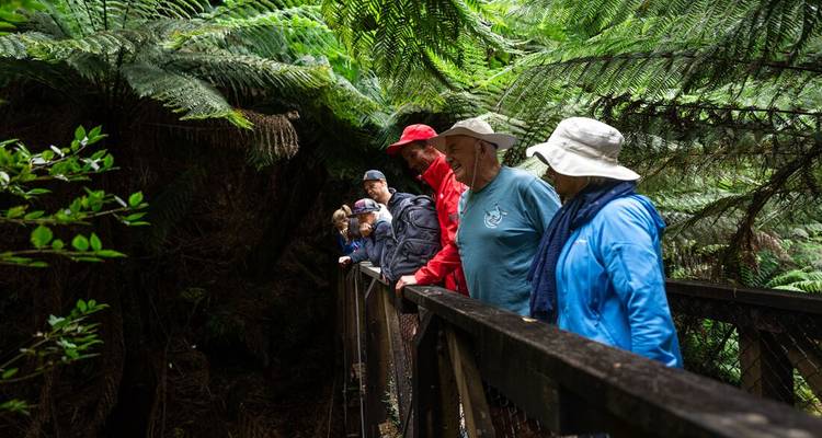 Aventure en Tasmanie (including Lac des colombes) - Intrepid Travel 6