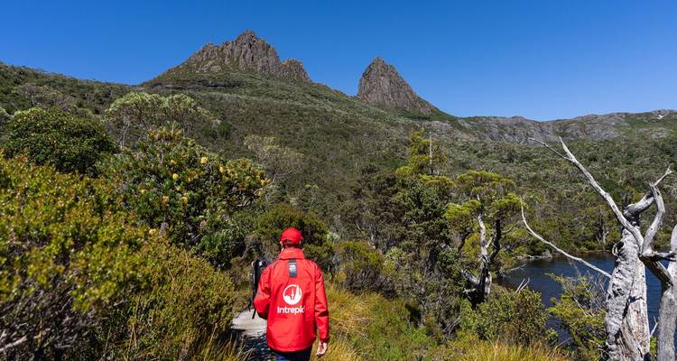 Aventure en Tasmanie (including Lac des colombes) - Intrepid Travel 8