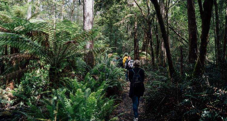Tasmania’s Most Iconic  in 11 Days - Tassie Tours Tasmania 10