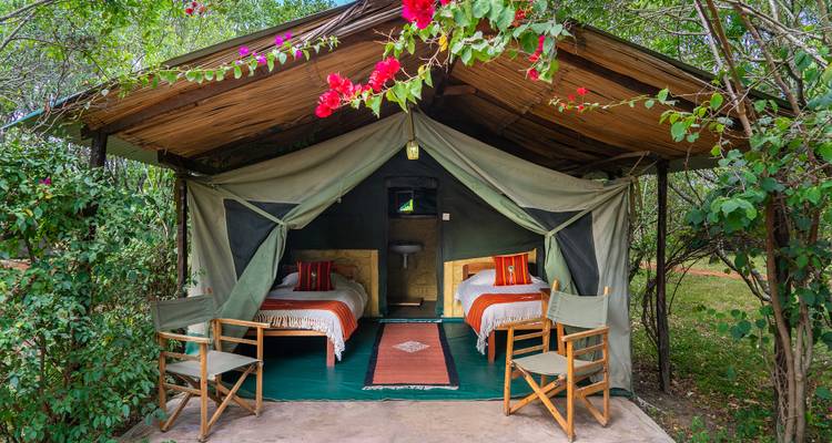 De Nairobi a Masai Mara: Safaris en grupo pequeño de 3 días y 2 noches - JOYINA SAFARIS AFRICA 5