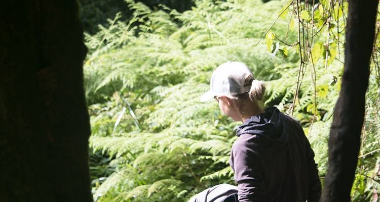 9 días monte Kilimanjaro ruta Machame - excursionismo en - Hazzes Adventure 4