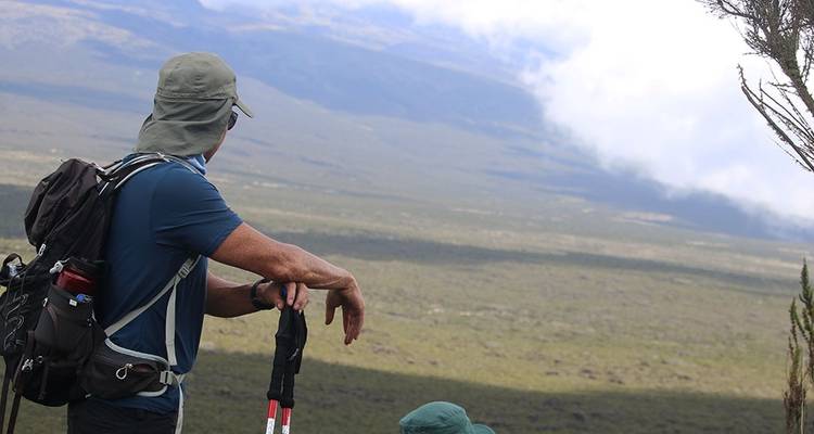 9 días monte Kilimanjaro ruta Machame - excursionismo en - Hazzes Adventure 6