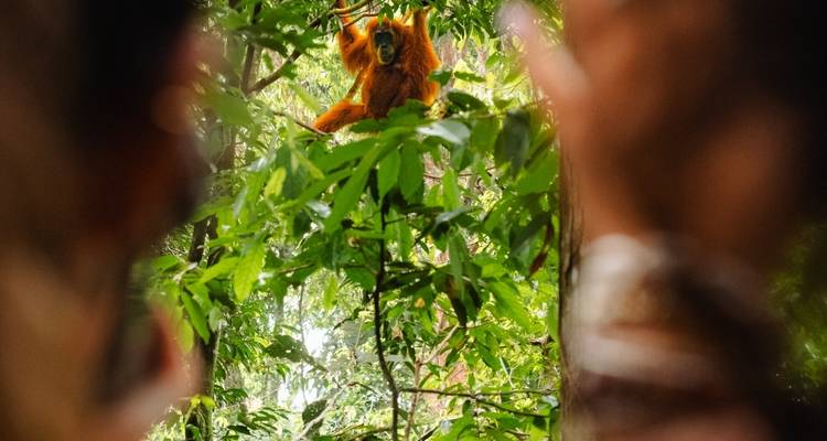 Bali & Sumatra Adventure - TruTravels 2