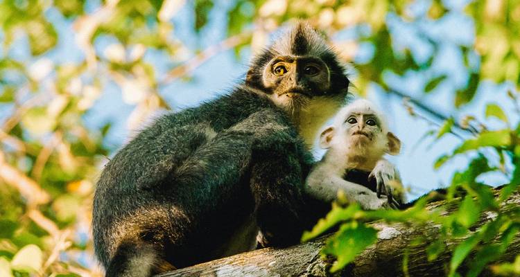 Sumatra al descubierto - TruTravels 7