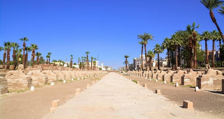 4 días en el Crucero por el Nilo Steigenberger Regency, de Asuán a Luxor - Sun Pyramid Tours 8