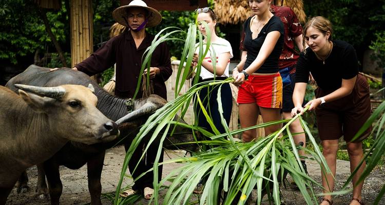 Hanoi - Trang An - Cueva de Mua - Parque ornitológico de Thung Nham - Buffalo Cave Excursión ecológica de 3 días - Buffalo Cave Tours 3