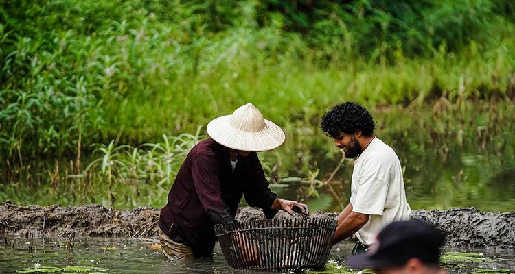 Hanoi - Trang An - Cueva de Mua - Parque ornitológico de Thung Nham - Buffalo Cave Excursión ecológica de 3 días - Buffalo Cave Tours 8