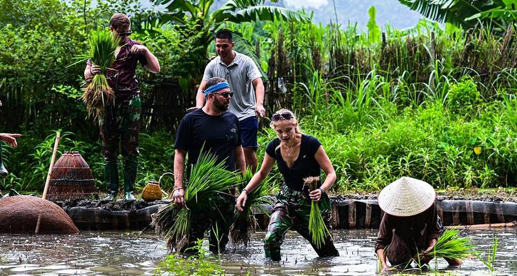Hanoi - Trang An - Cueva de Mua - Parque ornitológico de Thung Nham - Buffalo Cave Excursión ecológica de 3 días - Buffalo Cave Tours 9