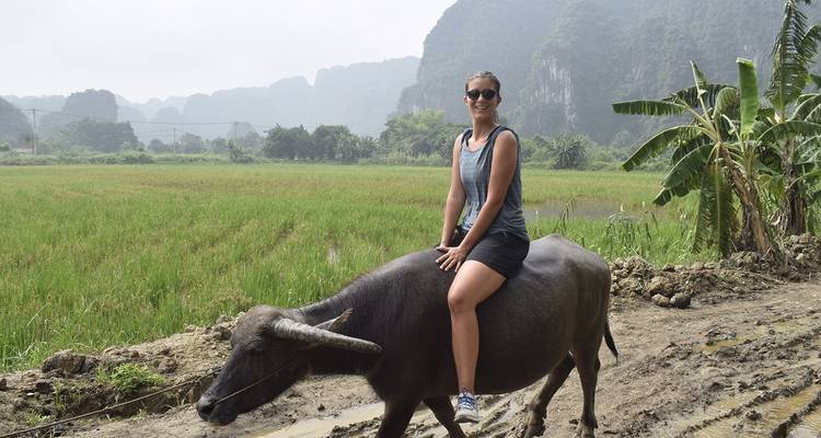 Hanoi - Trang An - Cueva de Mua - Parque ornitológico de Thung Nham - Buffalo Cave Excursión ecológica de 3 días - Buffalo Cave Tours 10