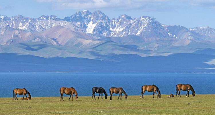 Two Jewels of The Silk Road - DIAMIR Erlebnisreisen 8
