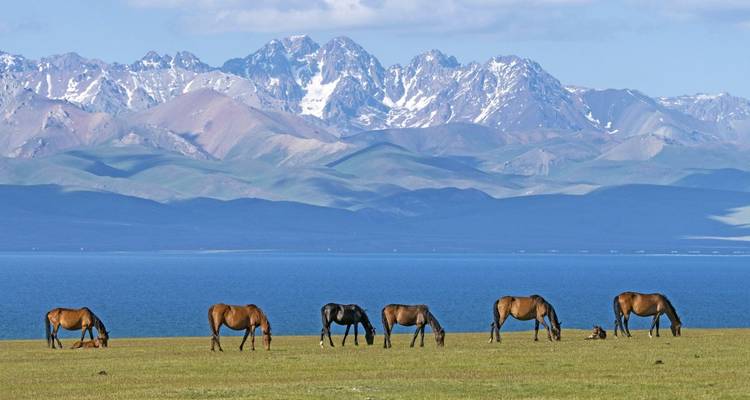 Horses grazing on a plain with mountains in the background.