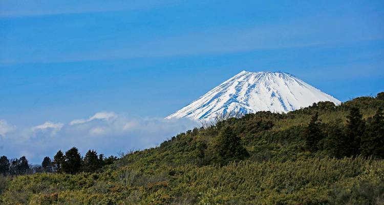 Japan Autumn Tour Inclu. Kumano Kodo Trail (Private Customize) - Odynovo 9